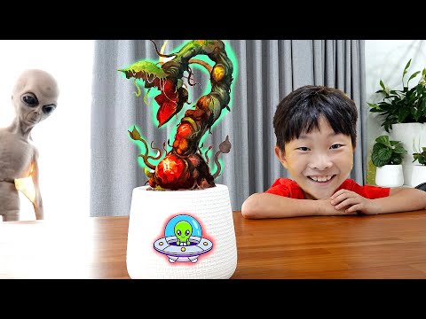 예준이의 외계인 식물 키우기 과일놀이 Alien Plants Pretend Play