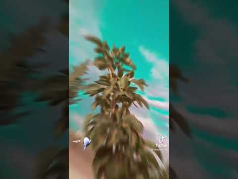 من يدري ياصبابت صدري