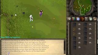 RS07 Messed up falconry bot
