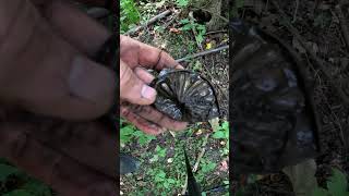 Metal Detecting Fancy Copper Cup 1800 Coins Relics Old Toys Farm Western NY #metaldetecting #shorts