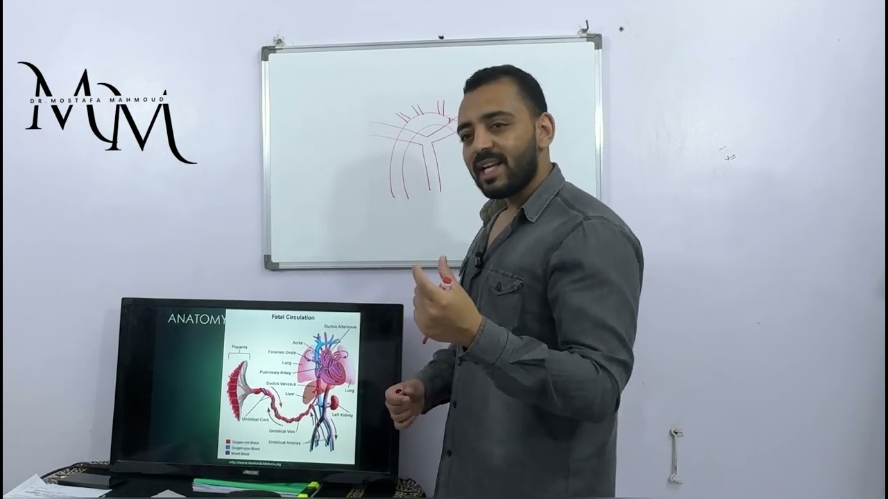 Introduction to adult CHD