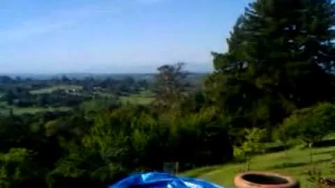 View of hills and vineyards from George Moskoff's