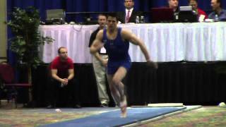 Chris Brooks - Vault - 2014 Winter Cup Challenge Finals