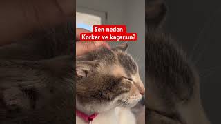 Neden Korkar Ve Kaçarsın? #korku  #kaçış #tepki