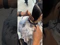 Long blunt layers 1