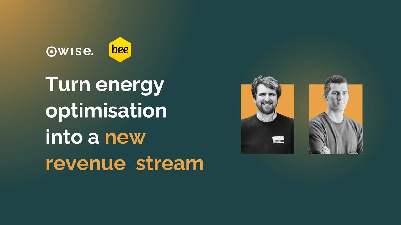 Turn energy optimisation into a new revenue stream  - Webinar with WISE. Energy x BEE