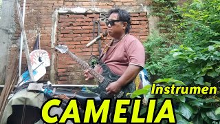 CAMELIA - Pengamen Legend Instrumen