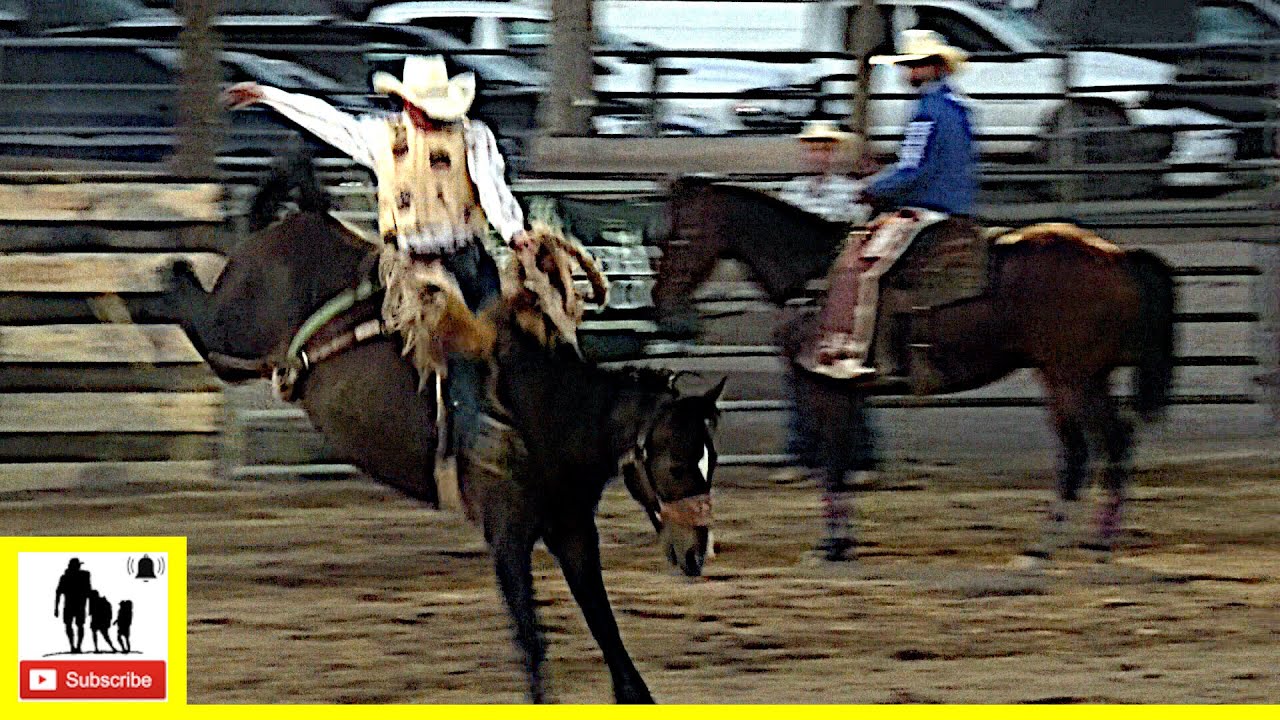 Saddle Bronc Riding 2022 Big Timber Weekly Pro Rodeo YouTube