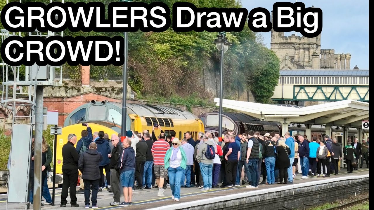 A TRIO of GROWLING Tractors Pull in a Big CROWD..!