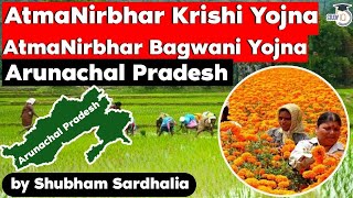 Arunachal Pradesh Government Schemes - AtmaNirbhar Krishi Yojna & AtmaNirbhar Bagwani Yojna - APPSC screenshot 1