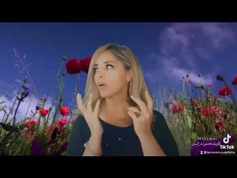 عاقبت هیچ بابا طاهر 