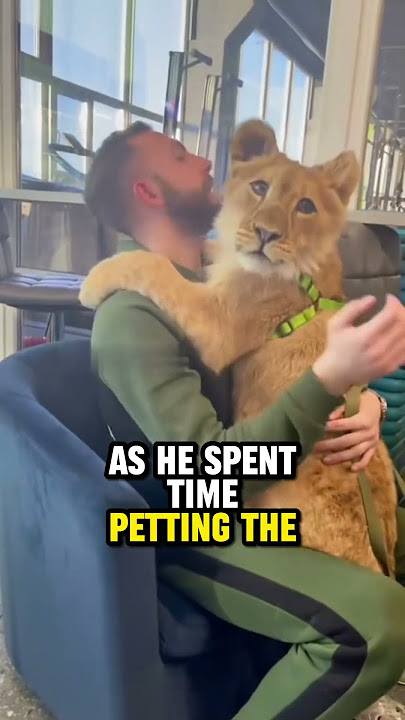 A lion cub's loneliness is healed by the love of a kind man ❤️