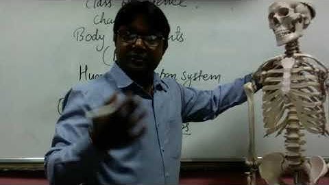 Class  6th Science Chapter 8 Body Movement Part-3