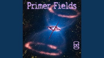 Primer Fields