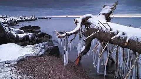 Ojibwe Word of the Day Gisinaa. ᑭᓯᓈ᙮ 'It is cold.'