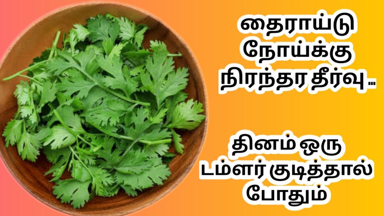 Coriander Leaf Benefits கொத்தமல்லி மருத்துவம் தைராய்டு நோய்க்கு 
