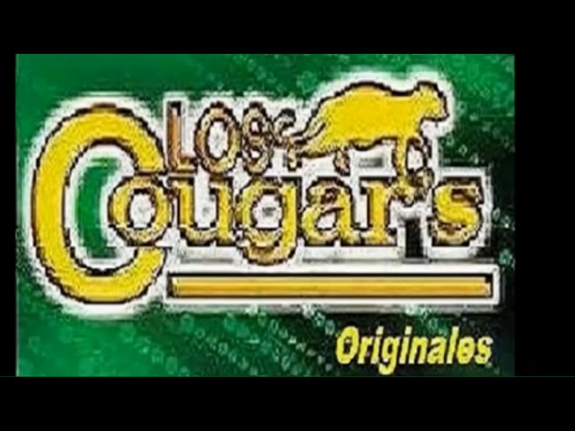 Los Cougars - Solo, Solo