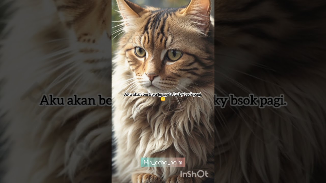 SWEET DREAMS (PART 28)