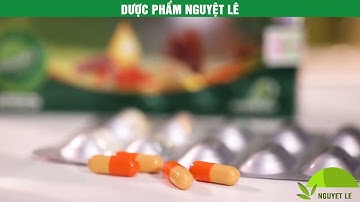 Nano Curcumin Tam Thất Xạ Đen Plus - Học Viện Quân Y - Dược Phẩm Nguyệt Lê