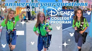 answering your questions about the dcp | disney college program