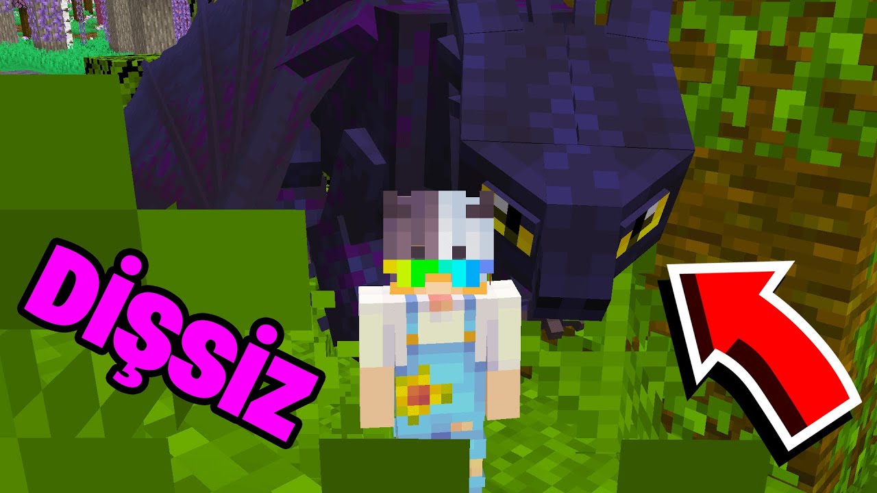 DİŞSİZ EJDERHASI BENİ EVLAT EDİNDİ! -Minecraft