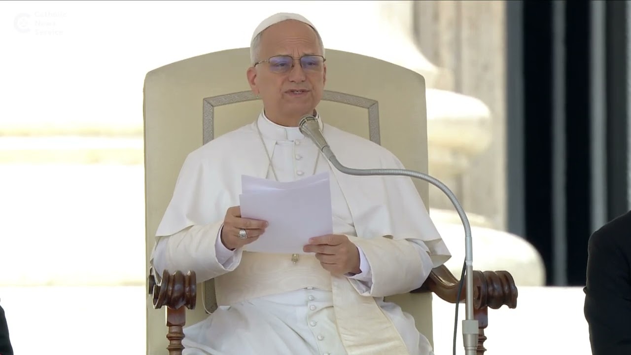 Pope Leo: Don't be afraid to ask for help