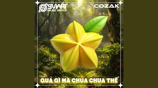 Quả Gì Mà Chua Chua Thế (feat. Vinh Boö) (Remix)