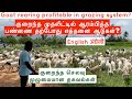 Goat rearing profitable in grazing system? Successful goat farm in Tamilnadu