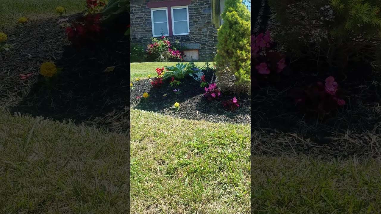 Flowers and Bushes and Trees.