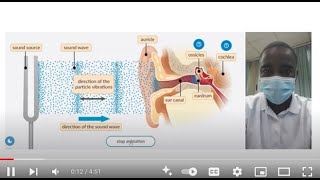 Celebrity Hearing Process Simulation | Science Experiment | Virtual Lab Simulation Profile