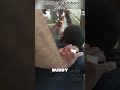 School Refusal Turns Into Family Chaos — Knife Mentioned, Teen Resists, Mom Gets Summons
