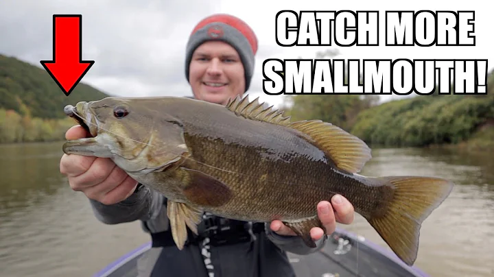 How to Fish the NED RIG for Smallmouth Bass!