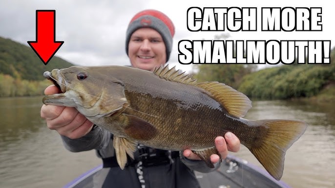 How to Fish for SMALLMOUTH BASS in Rivers! - River Fishing Tips to