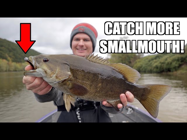 How to Fish the NED RIG for Smallmouth Bass! 