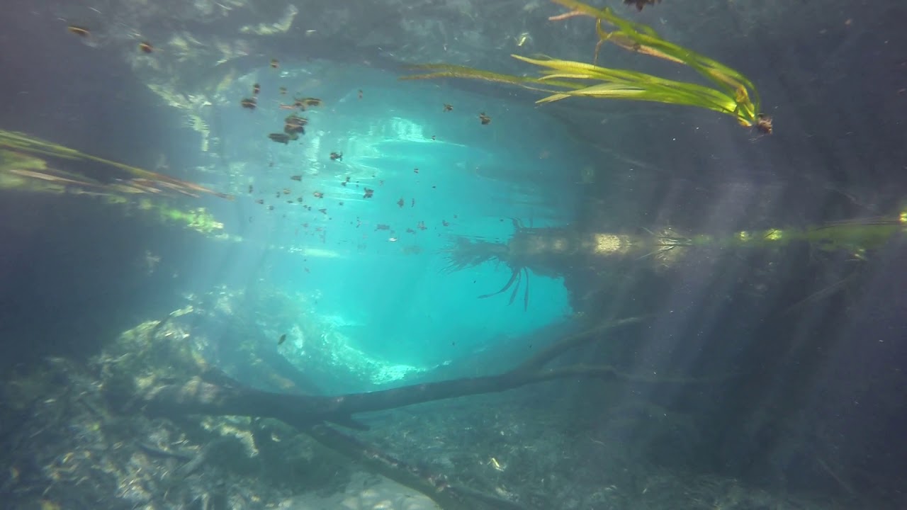Bitter Springs, Mataranka, NT