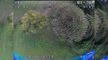 Not Another TWIG Movie | Racer X TWIG 3s