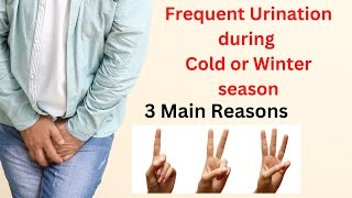 3 Main Causes Of Frequent Urination During Cold Or Winter Season