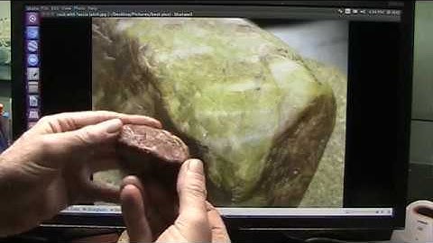 01 Perfectly Preserved Fossils 1