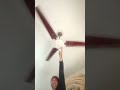 crazy viral exprement #ceilingfan #ceiling #ceilingfaninstallation