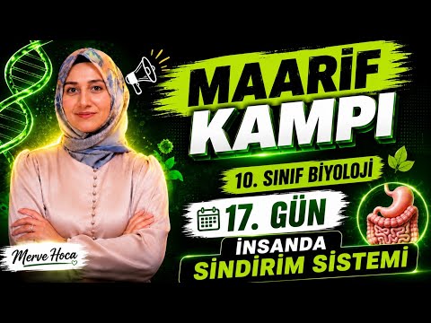 DIGESTIVE SYSTEM IN HUMANS | MAARIF CAMP - DAY 17 #maarif