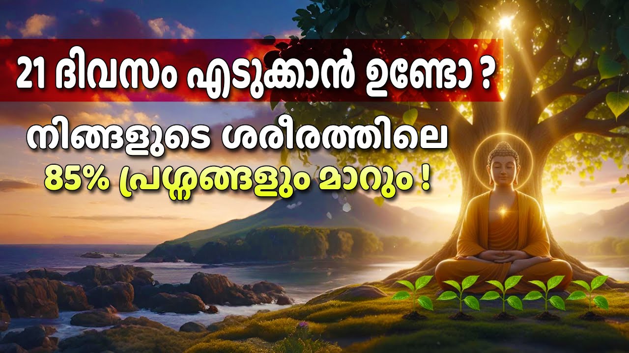ഉറപ്പായും.. നിങ്ങളുടെ ശരീരം നിങ്ങളോട് നന്ദി പറയും!✨| 85% മാറ്റം ഉറപ്പ്💯| Sree Buddha Malayalam