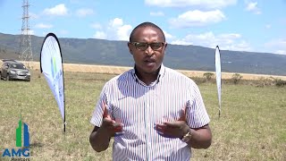 NAIVASHA RIDGE SHAMBA REVIEW.