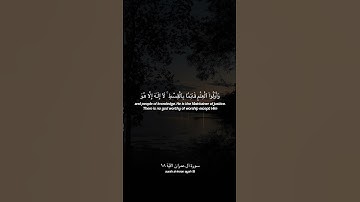 surah al-imran // سورة آل عمران          #badr_alturki#بدر_التركي #quran#قرآن #explore #اكسبلور