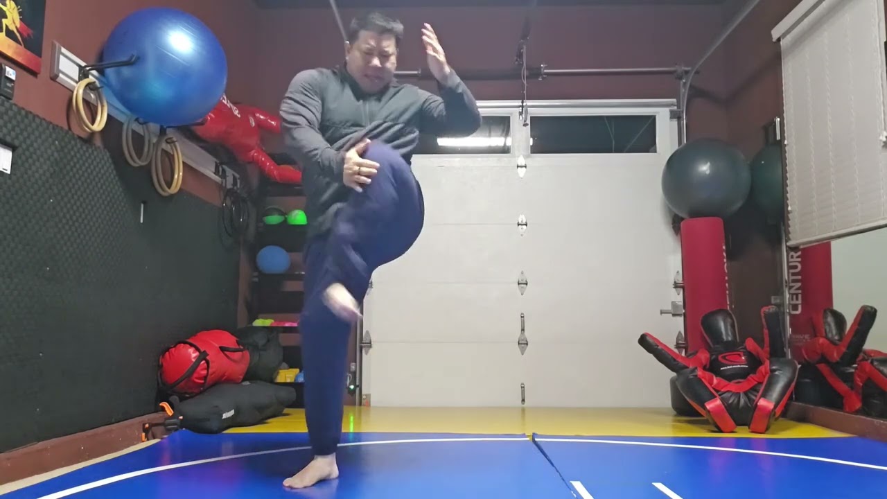 WTD Kickstance Combination 6, Advancing Set  (Rank 3)