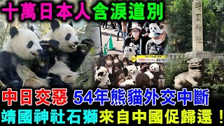 曉曉 蕾蕾中日熊貓外交中斷，靖國神社石獅來自中國促歸還！十萬日本人含淚道別熊貓【家國天下】郭政彤 santino