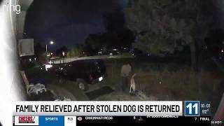 Colorado Springs family celebrates return of stolen Labrador, says community support helped bring...