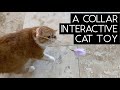 AUMUCA INTERACTIVE FEATHER CAT TOY | SVEN AND ROBBIE