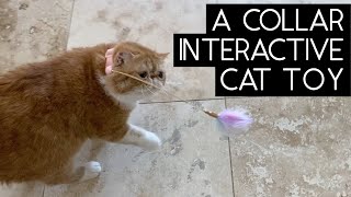 AUMUCA INTERACTIVE FEATHER CAT TOY | SVEN AND ROBBIE