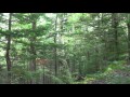 さらば青春 小椋佳 Kei Ogura covered in Mt. Fuji