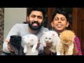 All about Persian cats 🐈 | best food for Persian cat | persian cat’s lifestyle|malayalam|Adams vlog